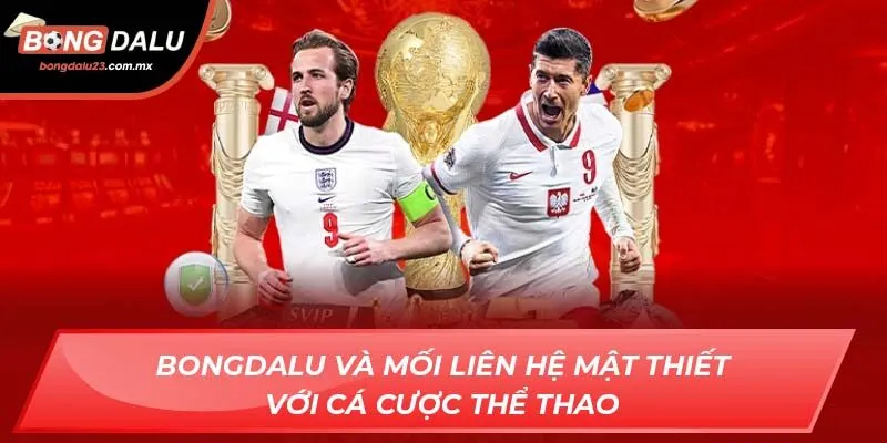 Bongdalu và mối liên hệ mật thiết với cá cược thể thao