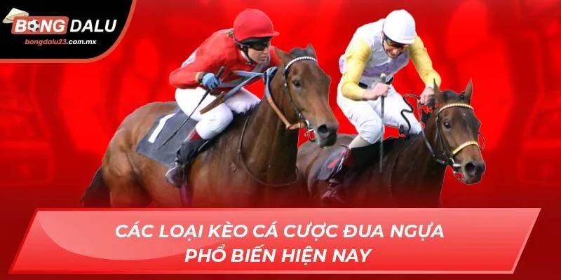 Các loại kèo cá cược đua ngựa phổ biến hiện