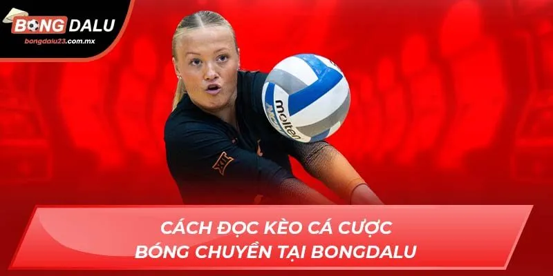 Cách đọc kèo cá cược bóng chuyền tại bongdalu