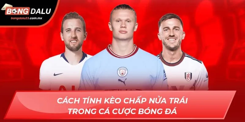 Cách tính kèo chấp nửa trái trong cá cược bóng đá